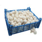 *PRODUIT BLOQUE* CHAMPIGNON BLANC VRAC 3KG